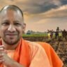 हरित उत्तर प्रदेश बनने की दिशा में तीव्रता से गतिमान है नया उत्तर प्रदेश
