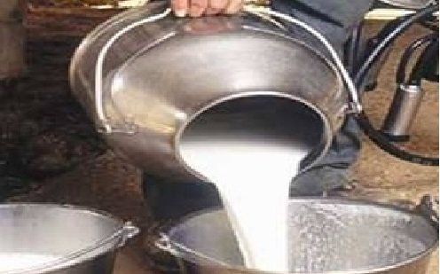 सिंथेटिक दूध माफिया पर कसेगा शिकंजा