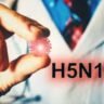 US में मौतें शुरू H5N1 ने वायरस ने बढ़ाई चिंता