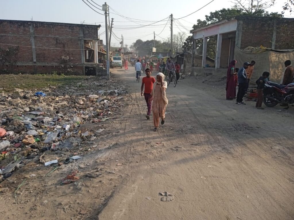 इमामगंज से बरदहा जाने वाली सड़क के किनारे गंदगी का साम्राज्य