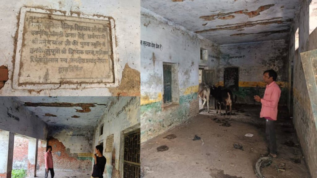 पहले होती थी यहां पढ़ाई अब बन गया चारागह टहल रहे मवेशी