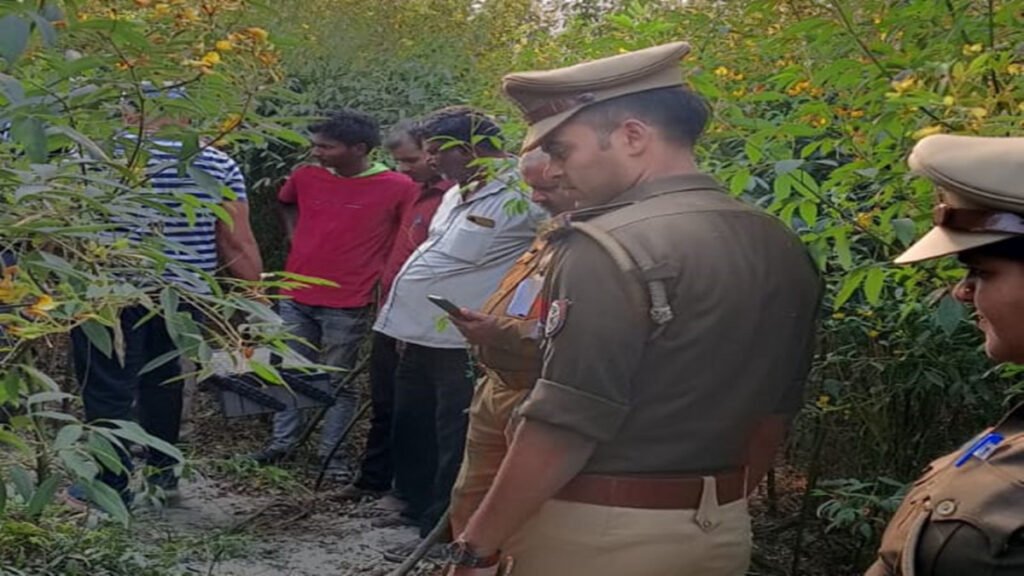 बुआ के घर से लाकर बड़े भाई ने की थी बहन की हत्या