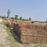 मुस्लिम का खेत है तो बंजर जमीन निकाली जाएगी पंडित जी के खेत में