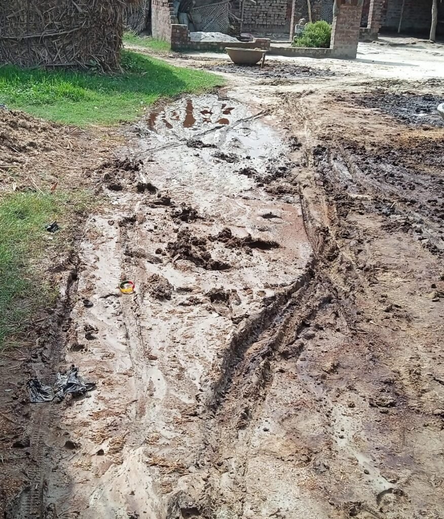बारिश के पानी से गाँव का मुख्य मार्ग कीचड़ में तब्दील