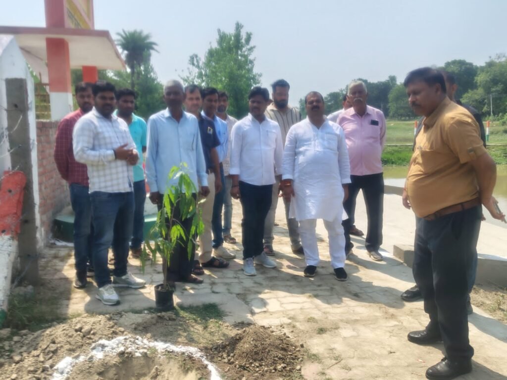 सम्राट अशोक महान अमृत सरोवर पर पौध रोपण करने पहुचे ब्लाक प्रमुख रमाकर पाण्डेय