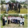 धूमधाम से मनाया गया विश्व पर्यावरण दिवस