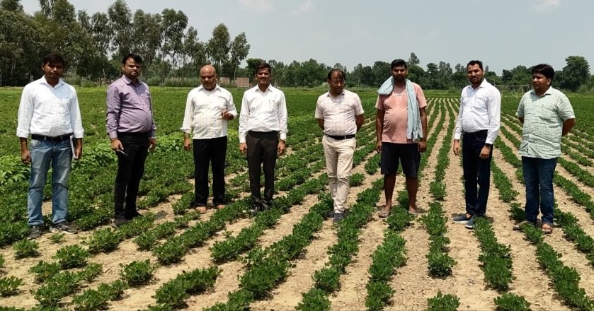 संयुक्त कृषि निदेशक महोदय देवीपाटन मण्डल गोंडा लोकेंद्र प्रताप सिंह ने किया निरीक्षण